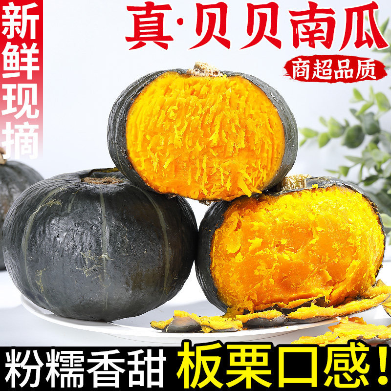 正宗贝贝南瓜新鲜板栗味小南瓜当季香甜粉糯宝宝农家蔬菜现摘整箱