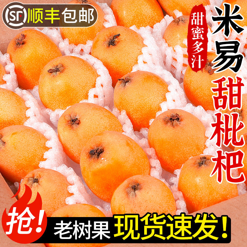 正宗四川攀枝花米易枇杷新鲜水果当季现摘五星批把甜琵琶大果顺丰