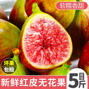 红皮无花果鲜果当季新鲜云南青紫红皮糖包子水果天然孕妇大果包邮