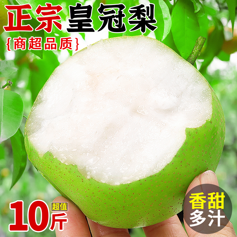 皇冠梨青梨10斤砀山梨子当季现摘新鲜水果水晶蜜梨雪梨青皮梨整箱