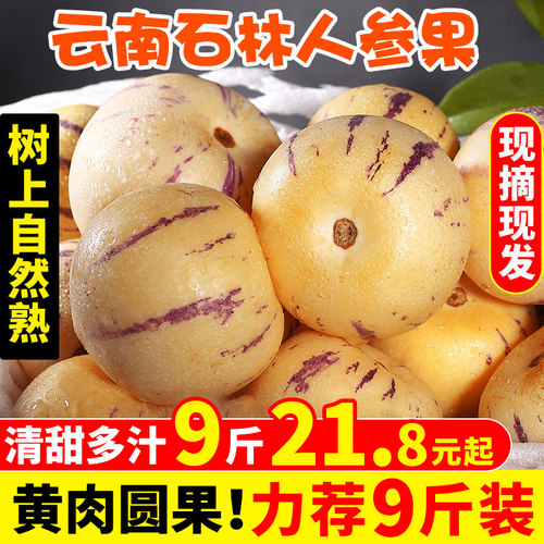 树上熟丨石林人参果丨清甜多汁！