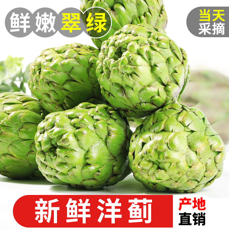 新鲜洋蓟4斤当季现摘包邮