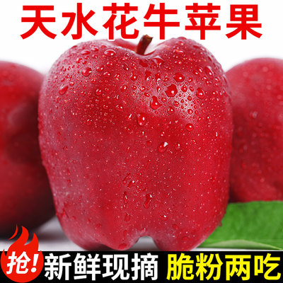 精选品质!天水花牛苹果!粉糯香甜