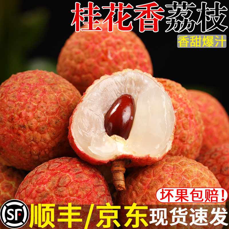 海南桂花香荔枝5斤当季新鲜水果现摘荔枝妃老树大果顺丰京东包邮