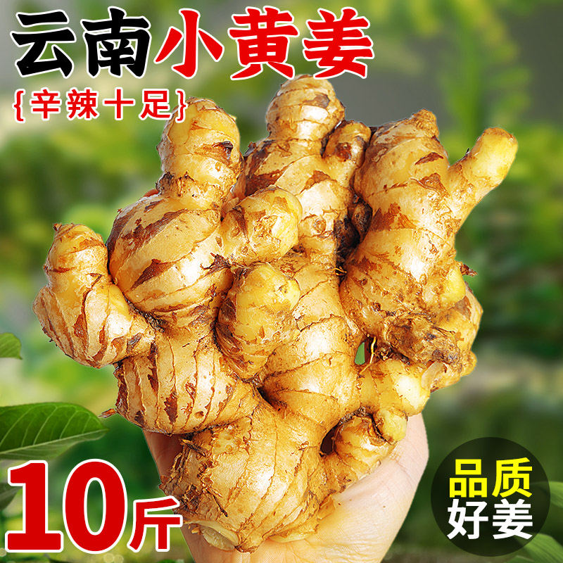 辛辣味足丨现挖正宗云南小黄姜