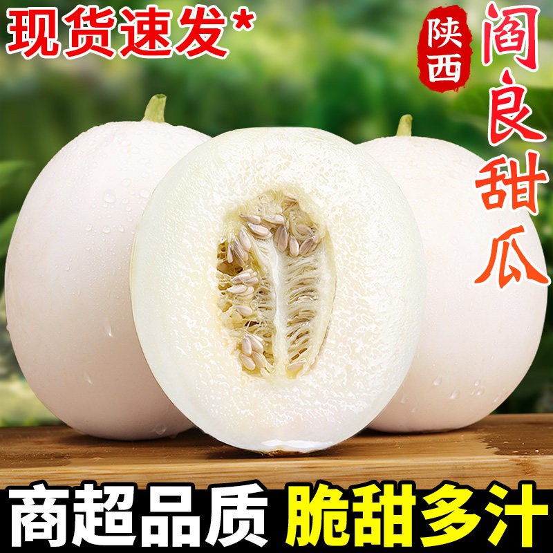 陕西正宗阎良甜瓜新鲜水果当季现摘脆甜蜜瓜白瓜羊角香瓜整箱包邮