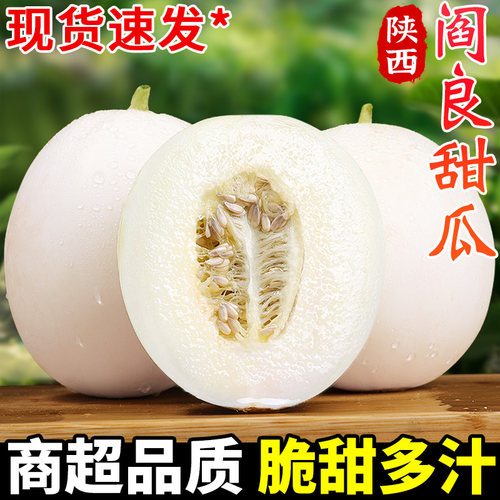 【现摘现发】阎良甜瓜香甜多汁！