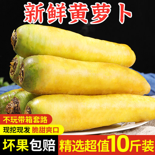 新鲜现挖黄萝卜！新疆手抓饭搭档