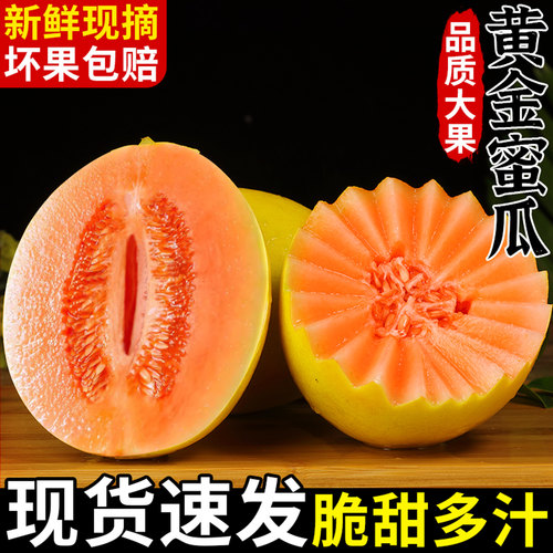 正宗黄金蜜瓜!脆甜可口!现摘现发