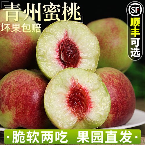 【现摘现发】正宗青州蜜桃！