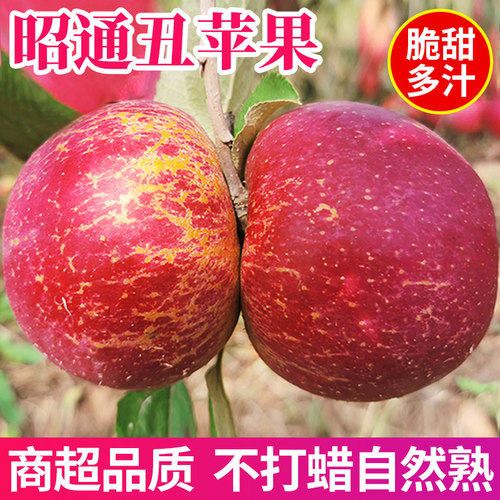 【自然熟不打蜡】冰糖心丑苹果
