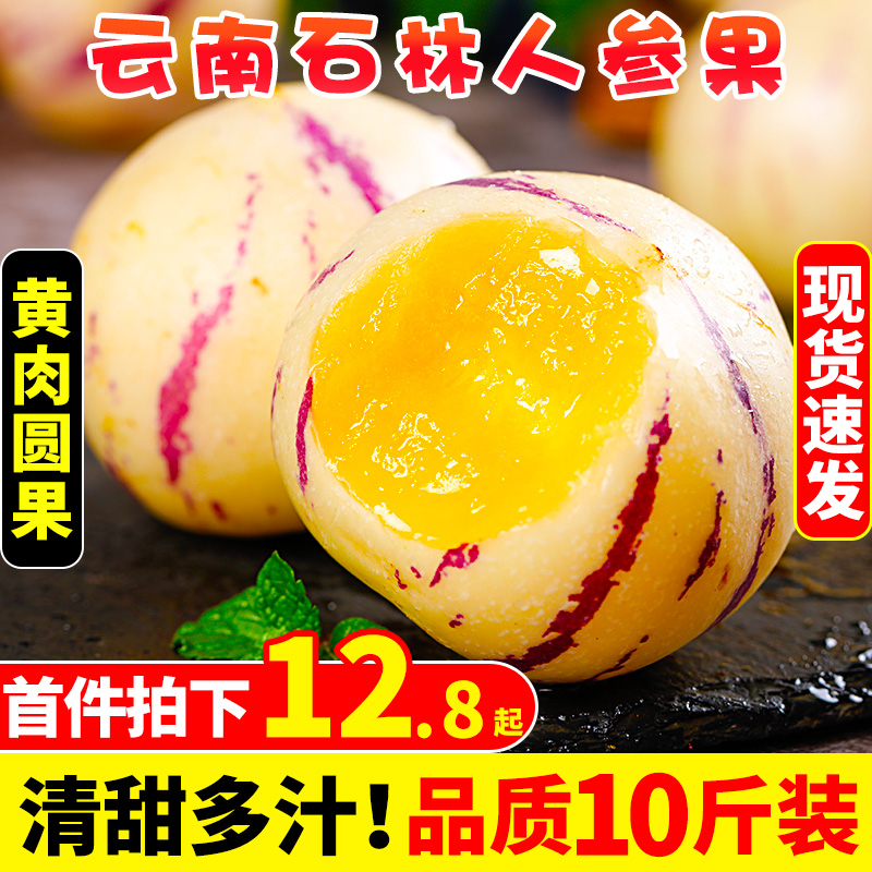 树上自然熟丨石林人参果丨真圆果