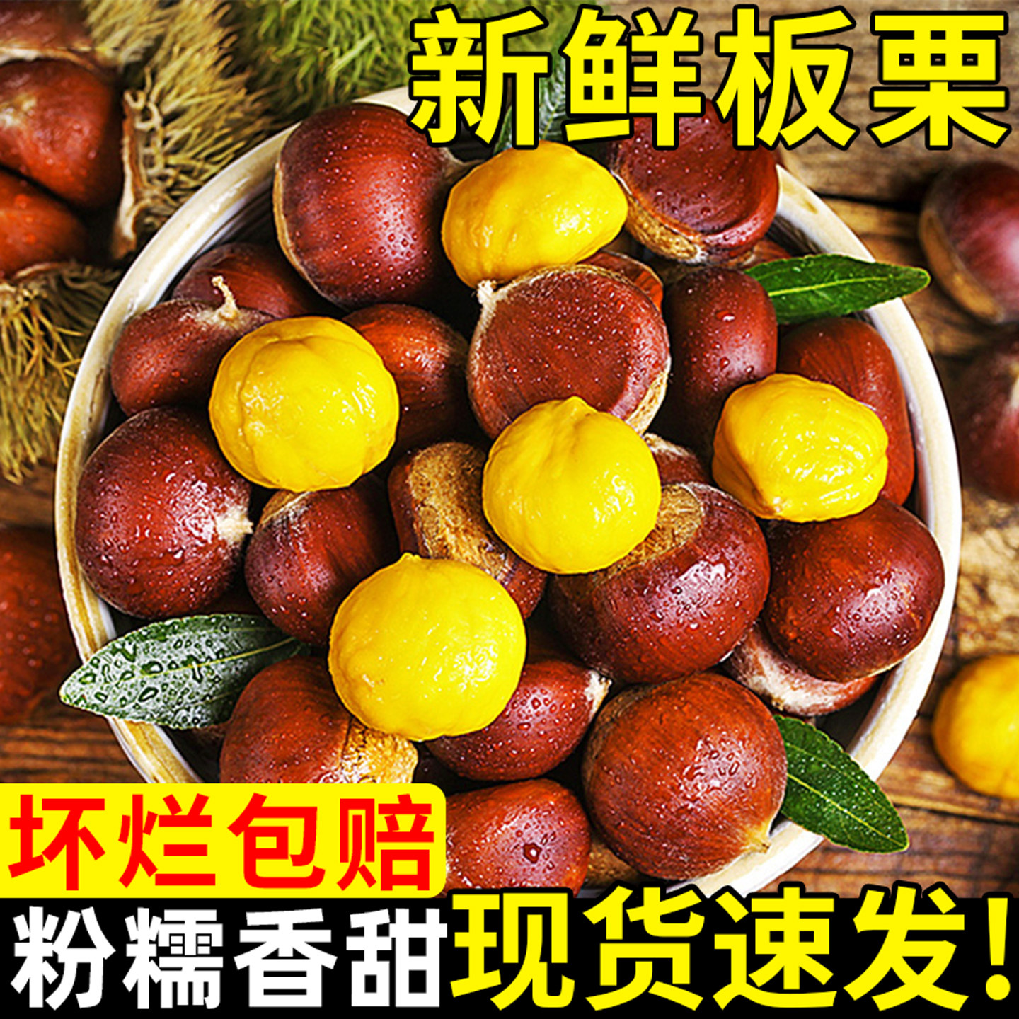 现摘新鲜下树生板栗!香甜软糯!