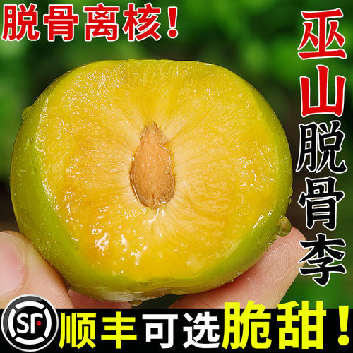 重庆巫山脆李！脆甜多汁！现摘