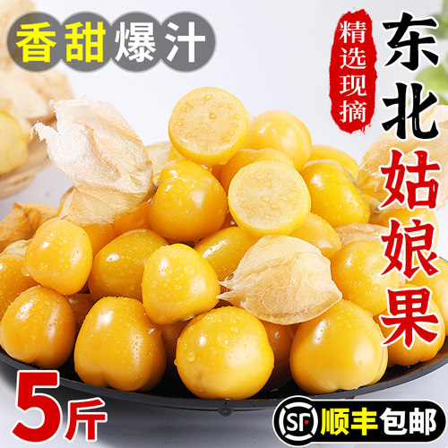 香甜多汁丨正宗东北姑娘果