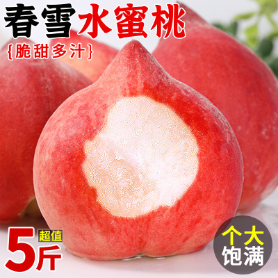 现货速发！春雪水蜜桃！香脆酥爽