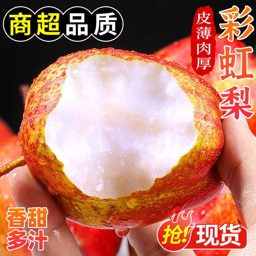 商超品质！陕西彩虹梨！现摘脆甜