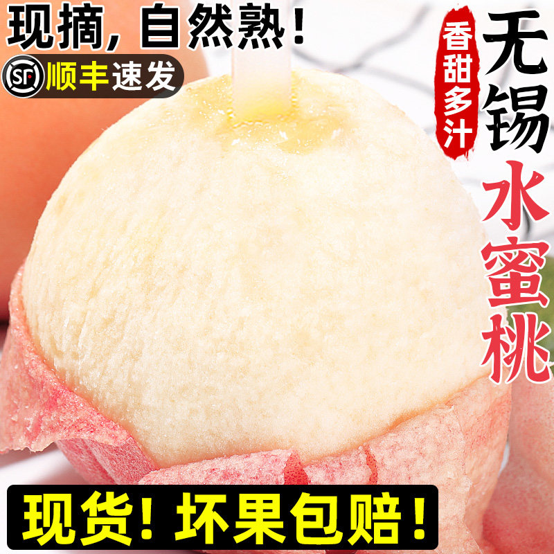 正宗无锡水蜜桃新鲜水果当季整箱现摘毛桃脆甜大桃子密桃顺丰礼盒