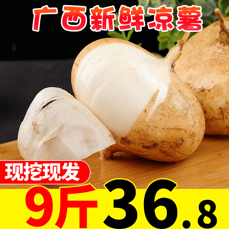 现挖凉薯新鲜9斤广西土瓜红土豆薯农家白地瓜葛根番薯山芋包邮10