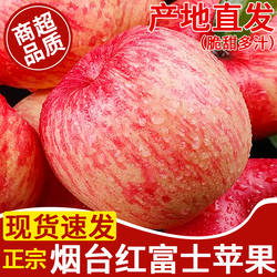 正宗山东烟台红富士苹果新鲜水果应当季现摘脆甜栖霞苹果整箱包邮