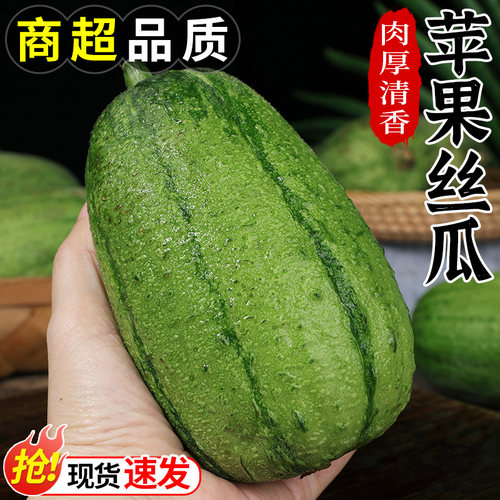 现摘现发丨苹果丝瓜丨鲜嫩清甜!