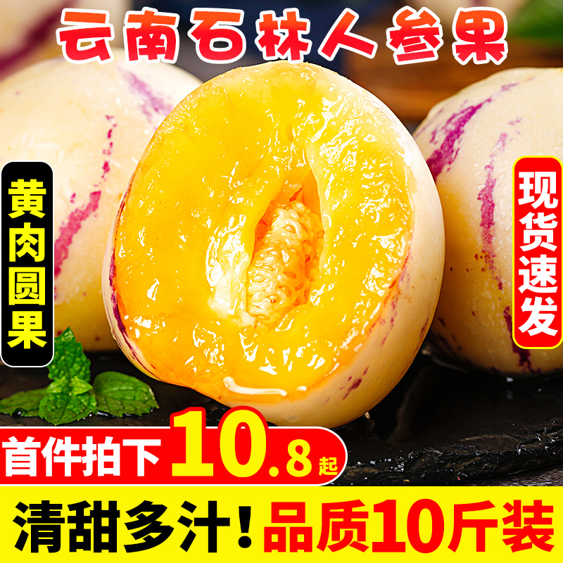 真圆果丨石林人参果丨水润多汁