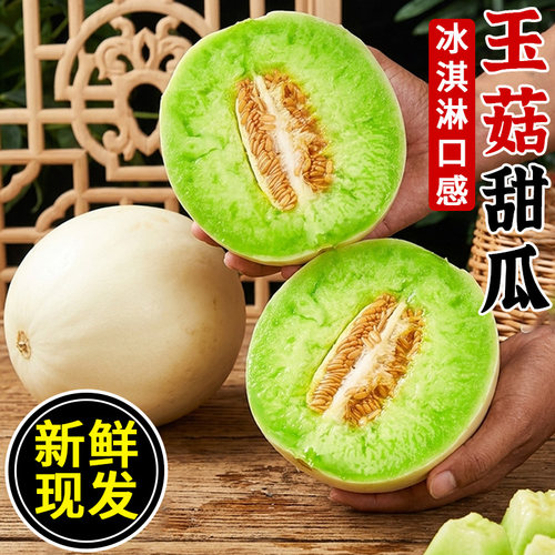 现摘冰淇淋玉菇甜瓜！甜蜜多汁！