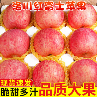 正宗洛川红富士苹果当季 新鲜水果陕西脆甜红富士冰糖心丑平果整箱
