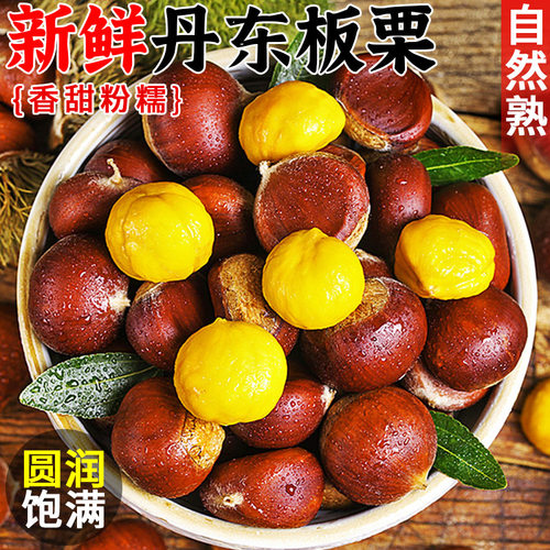 新鲜现摘板栗！粉糯香甜！现摘