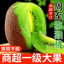 陕西周至猕猴桃绿心奇异果大果应当季新鲜即食徐香猕猴桃现摘整箱