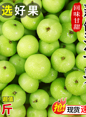 新鲜油甘果5斤余甘果牛甘子当季现摘油柑滇橄榄孕妇酸甜水果包邮3