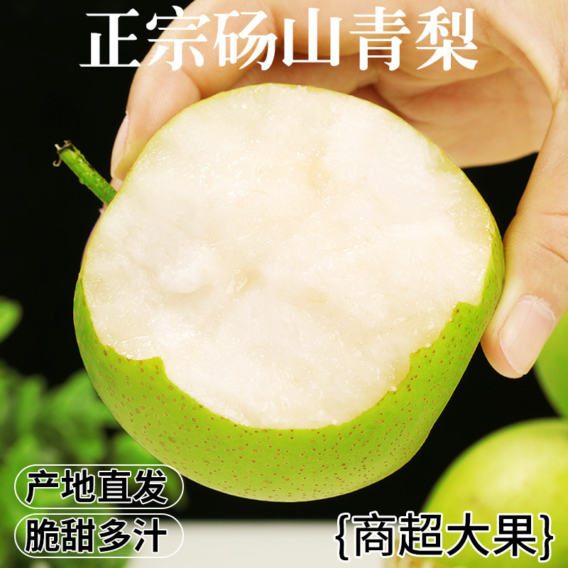 新鲜砀山青梨！脆甜多汁！现摘图片