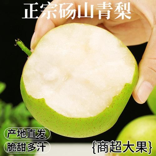 新鲜砀山青梨！脆甜多汁！现摘