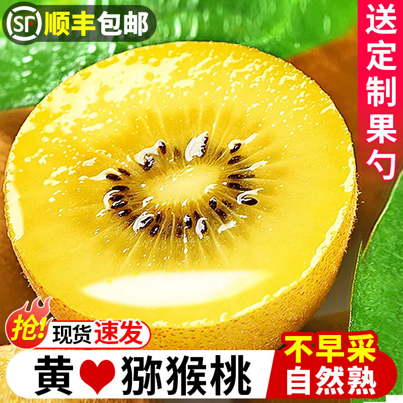 四川黄心猕猴桃奇异果新鲜水果应当季现摘弥猴桃大果孕妇顺丰包邮