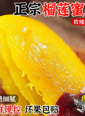 正宗榴莲蜜薯9斤黄心红薯新鲜农家番薯丝滑糖心软糯沙地地瓜包邮3