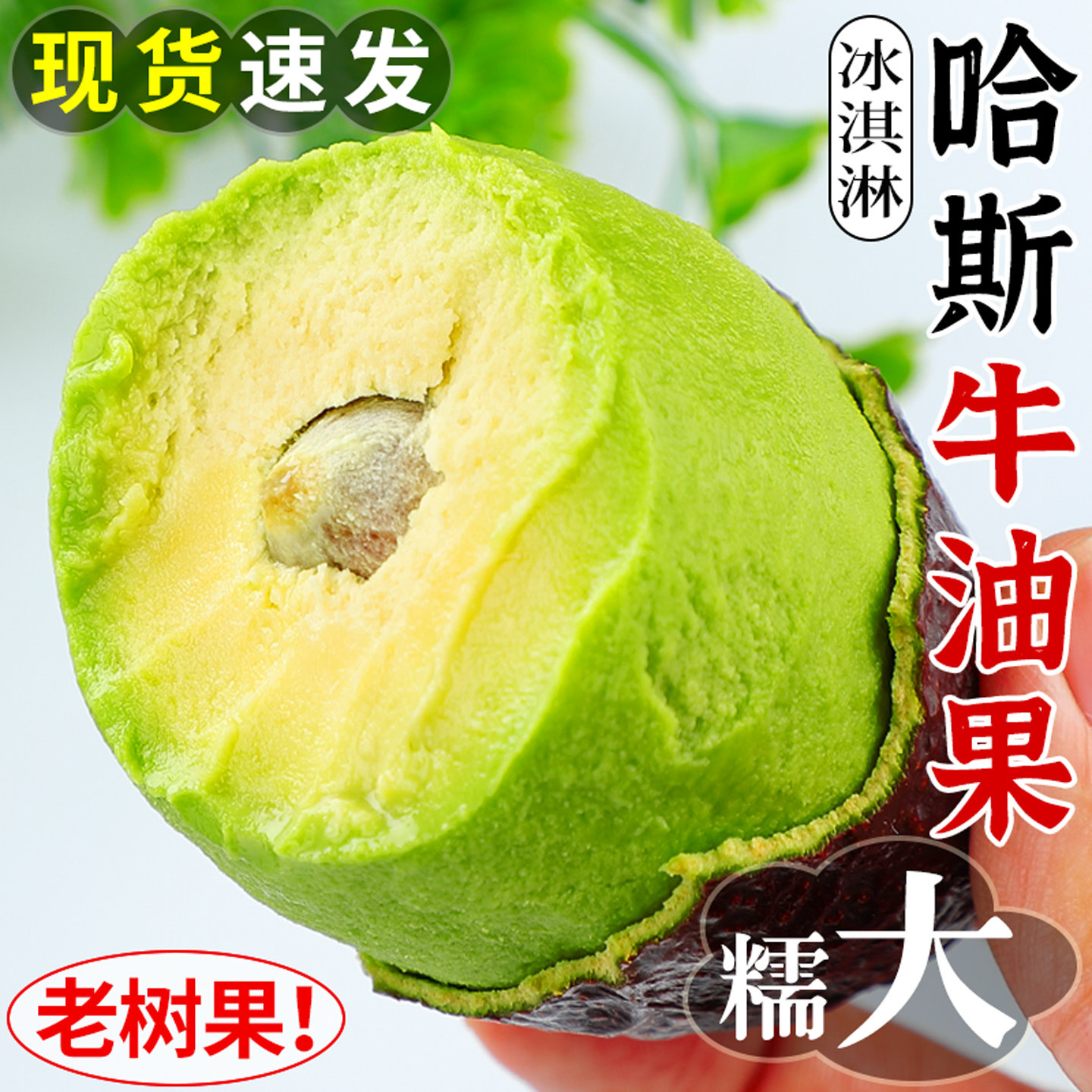 哈斯牛油果大果15个新鲜水果当季现摘鳄梨奶油牛油果宝宝辅食包邮