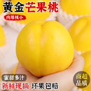 黃金芒果桃新鮮黃油桃現(xiàn)摘脆桃黃心蜜桃應(yīng)季 水果大連特產(chǎn)孕婦整箱