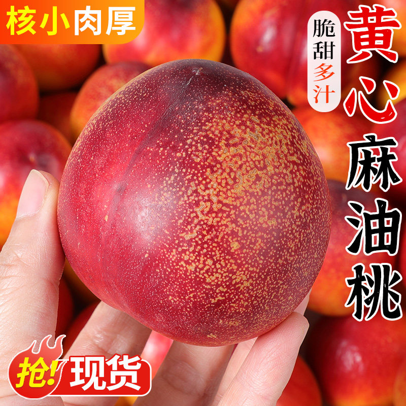 正宗黄心麻油桃5斤大桃子新鲜水果当季脆甜黄肉油桃露天蜜桃整箱