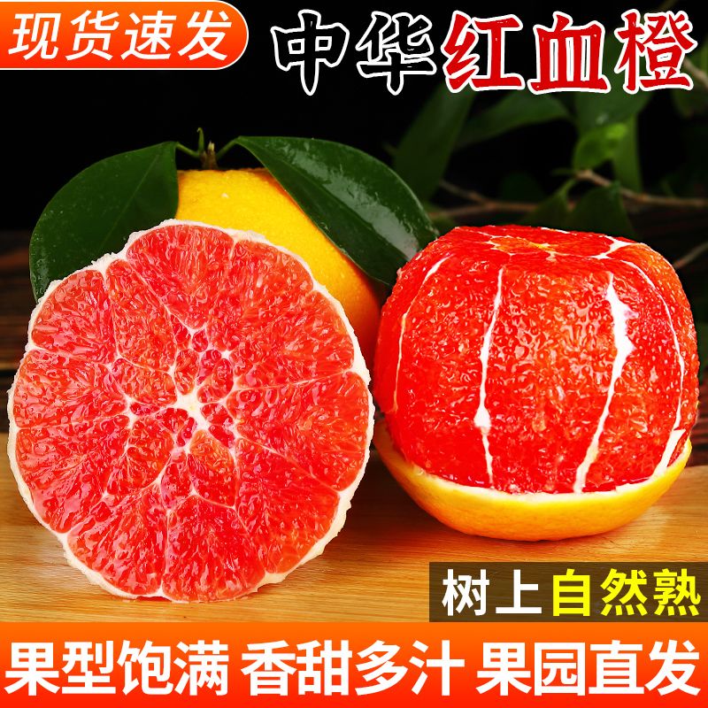 商超品质丨中华红血橙丨果园直发