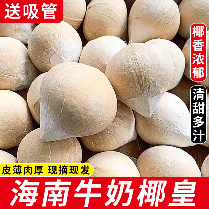 海南牛奶椰皇9个当季热带水果新鲜煲鸡汤老椰子现摘新鲜椰宝整箱