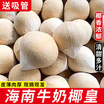【精选品质】海南牛奶椰皇！清甜