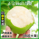 砀山青梨皇冠梨10斤新鲜梨子水果当季 翠冠梨香酥脆蜜雪梨青梨整箱