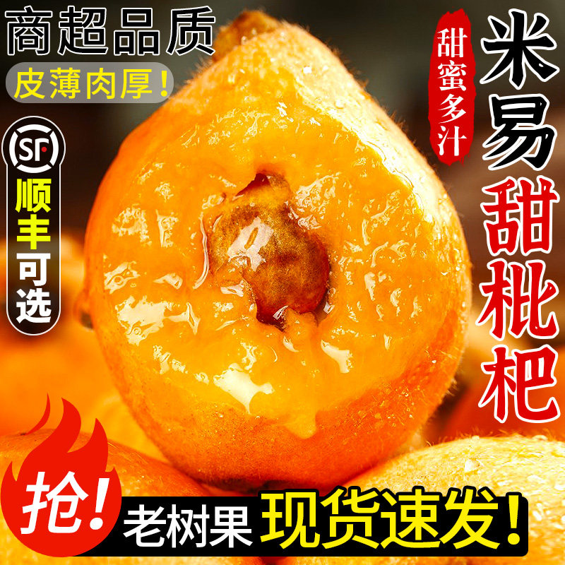 四川攀枝花米易枇杷当季新鲜水果大果现摘大五星批把琵琶孕妇包邮