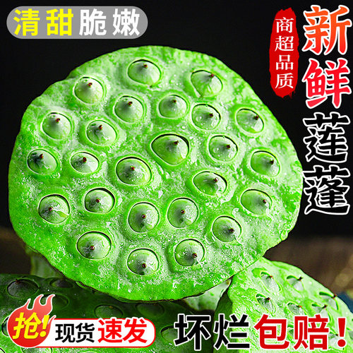现摘！新鲜水果莲蓬！脆嫩清甜