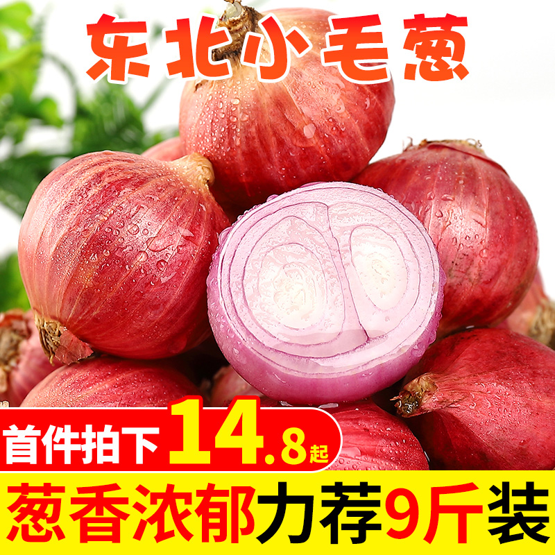 毛葱新鲜农家自种东北整箱葱头