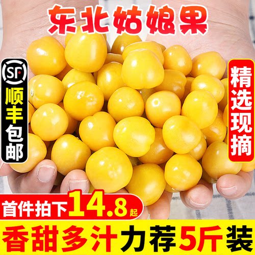 【顺丰包邮】东北姑娘果！香甜