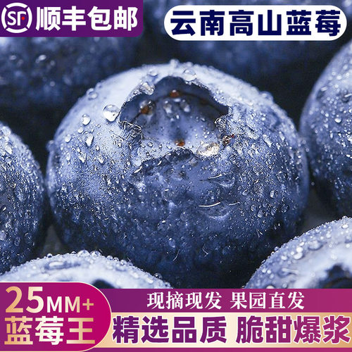 【云南高山蓝莓】香甜爆汁！现摘