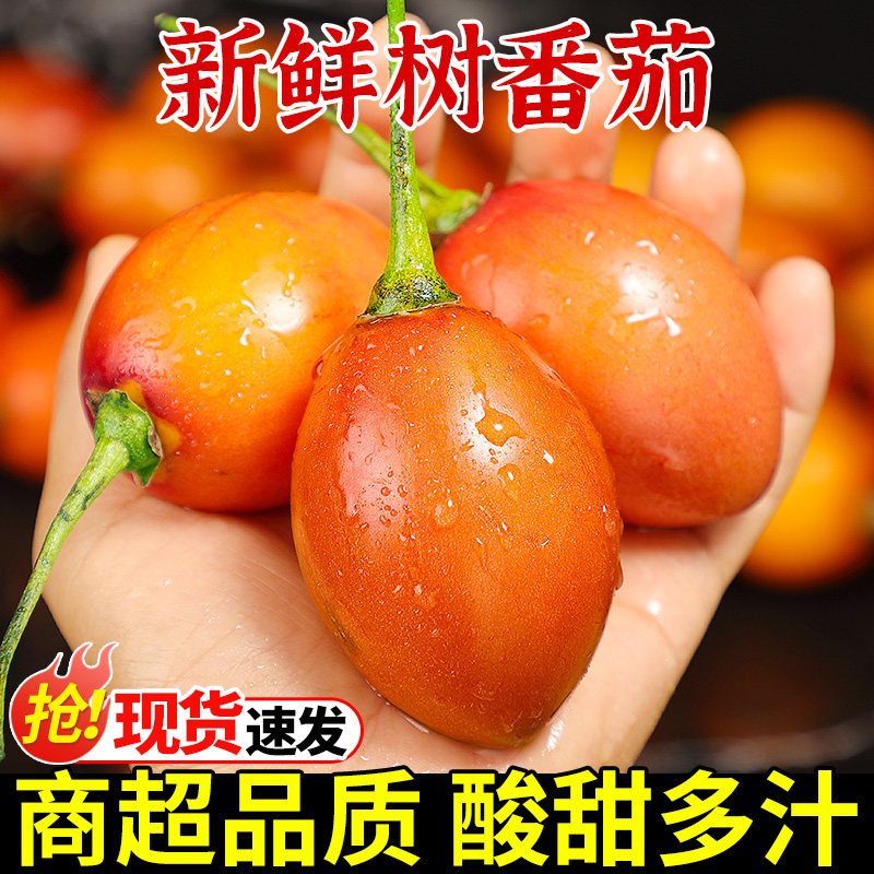 云南新鲜大树番茄傣味生吃水果正宗树酸茄洋酸茄鸡蛋番茄缅茄整箱