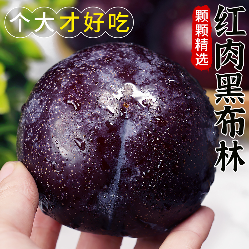 1 45-55g ſžѡحڲحӲ31.82Ԫ