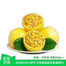 新鲜水果 海南钦蜜9号黄金百香果10枚60g 芭芭农场兑换专享